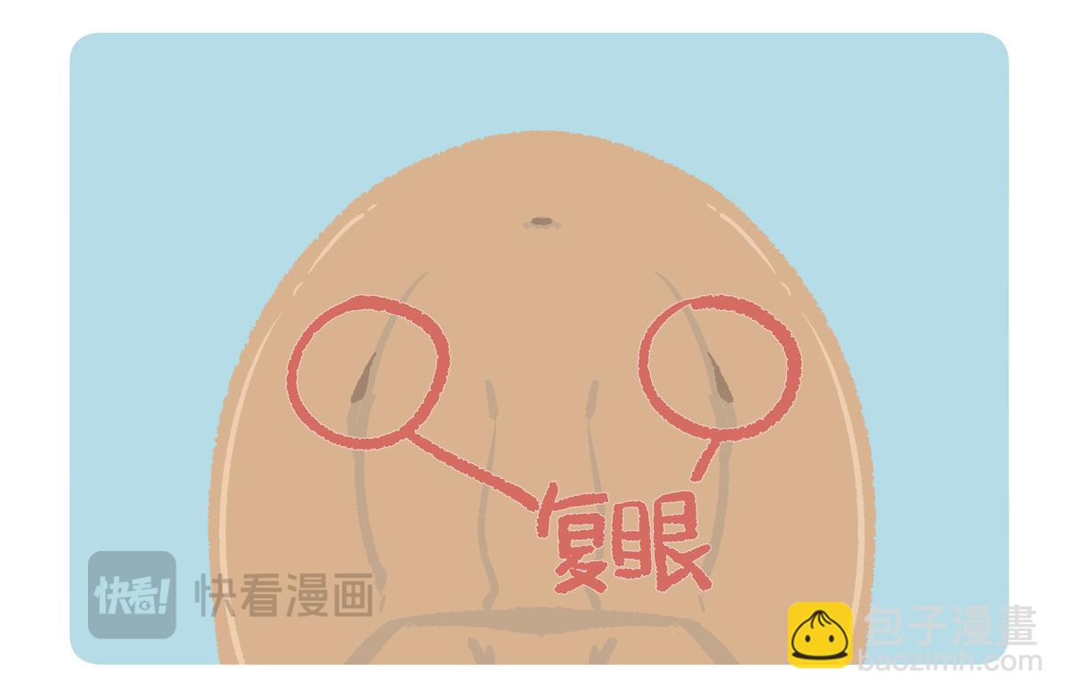 第277话-第278话