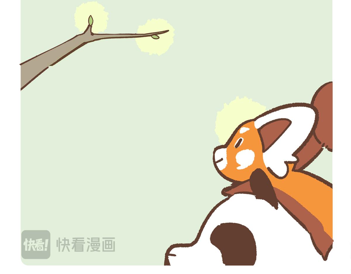 第281话-第282话