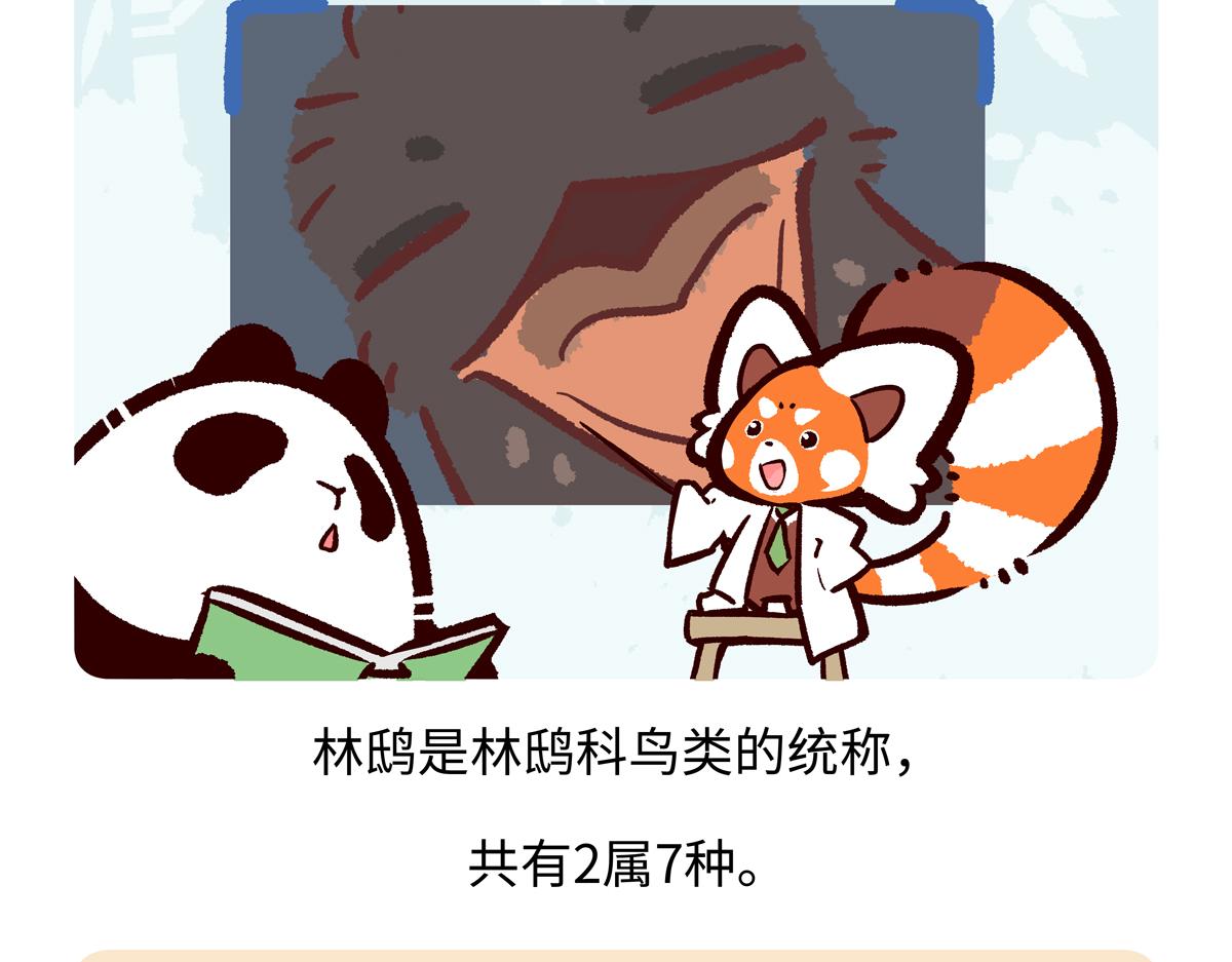 第285话-第286话
