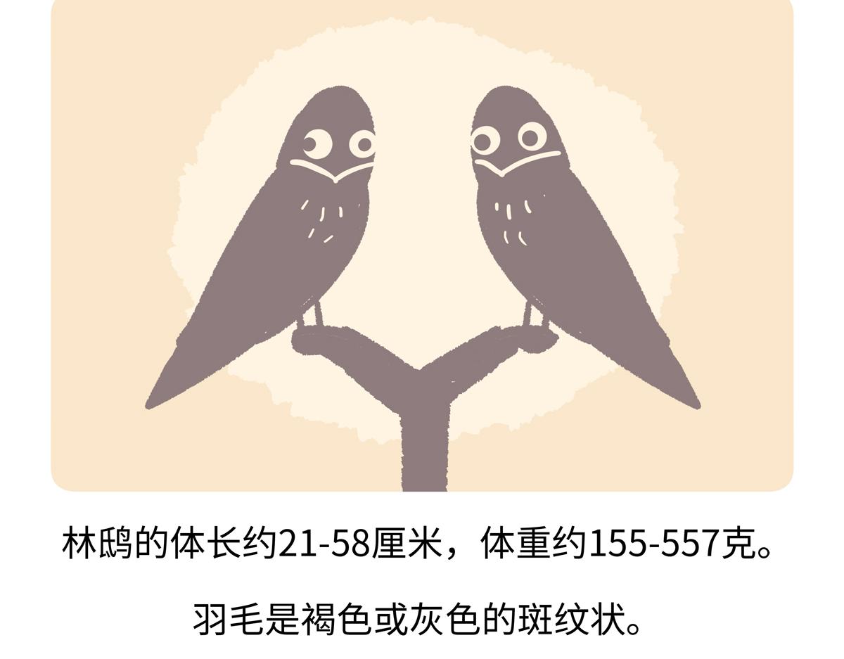 第285话-第286话