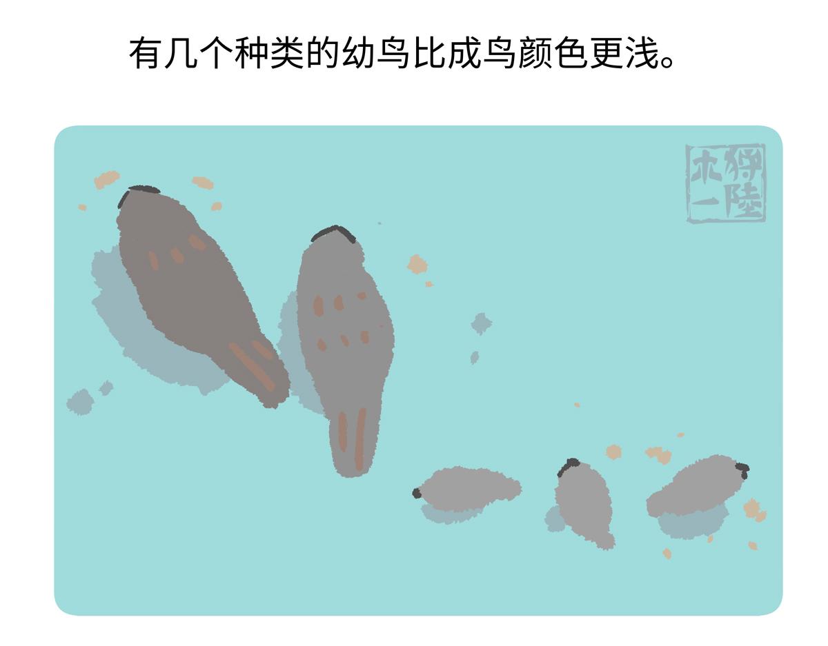 第285话-第286话