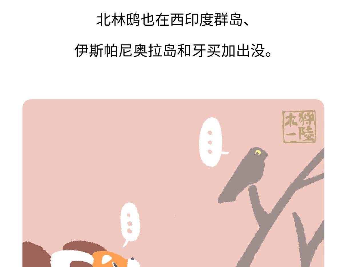 第285话-第286话