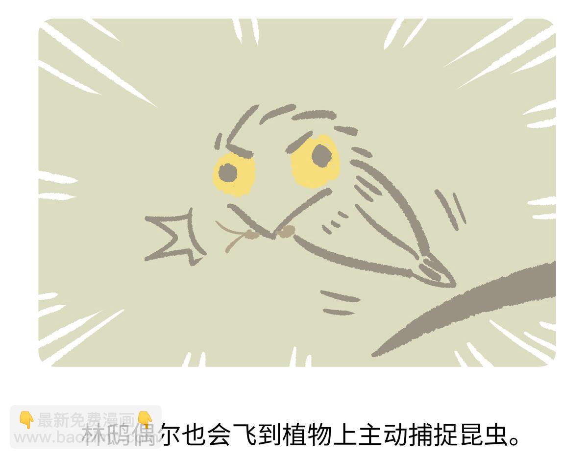 第287话-第288话
