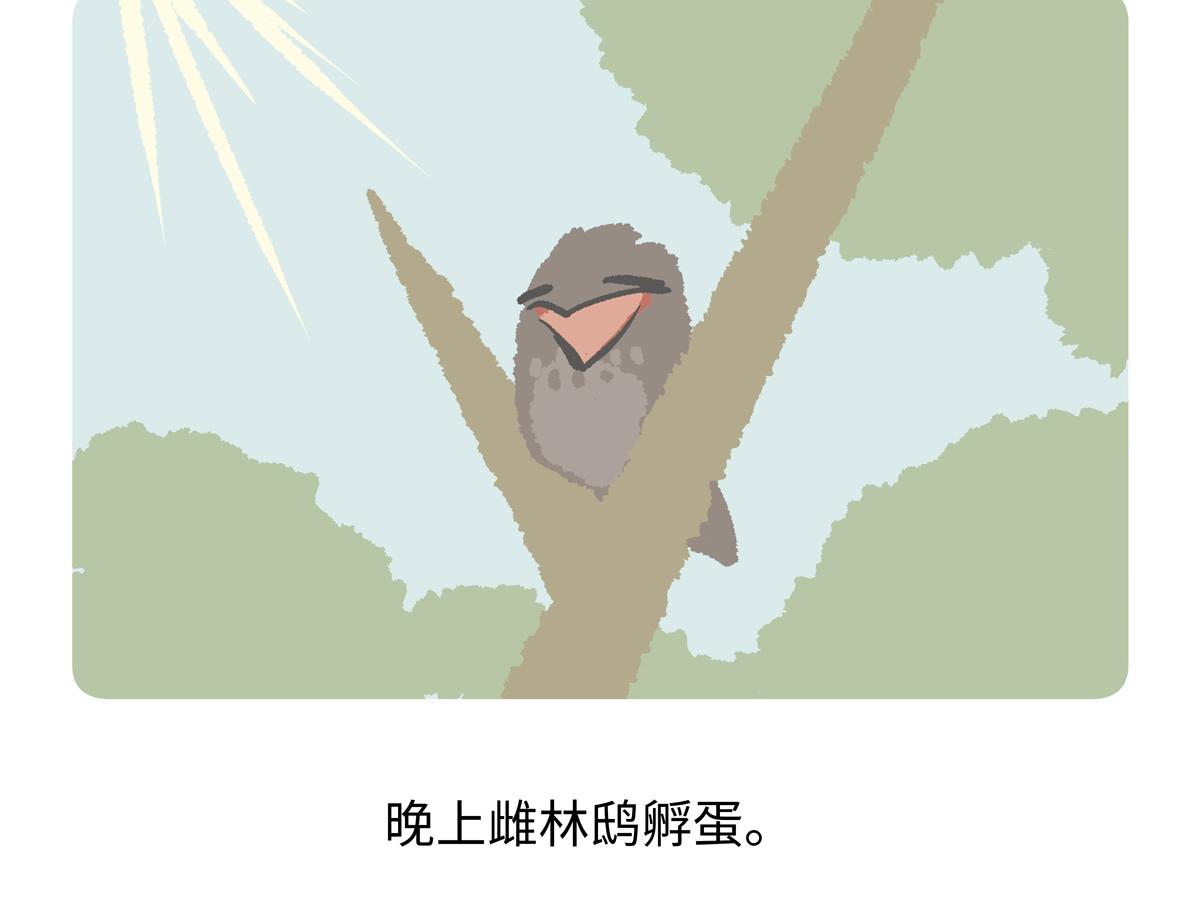 第289话-第290话