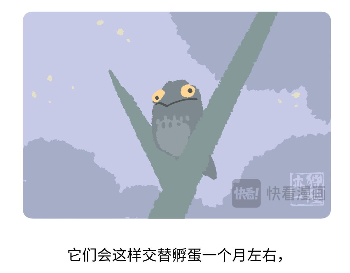第289话-第290话
