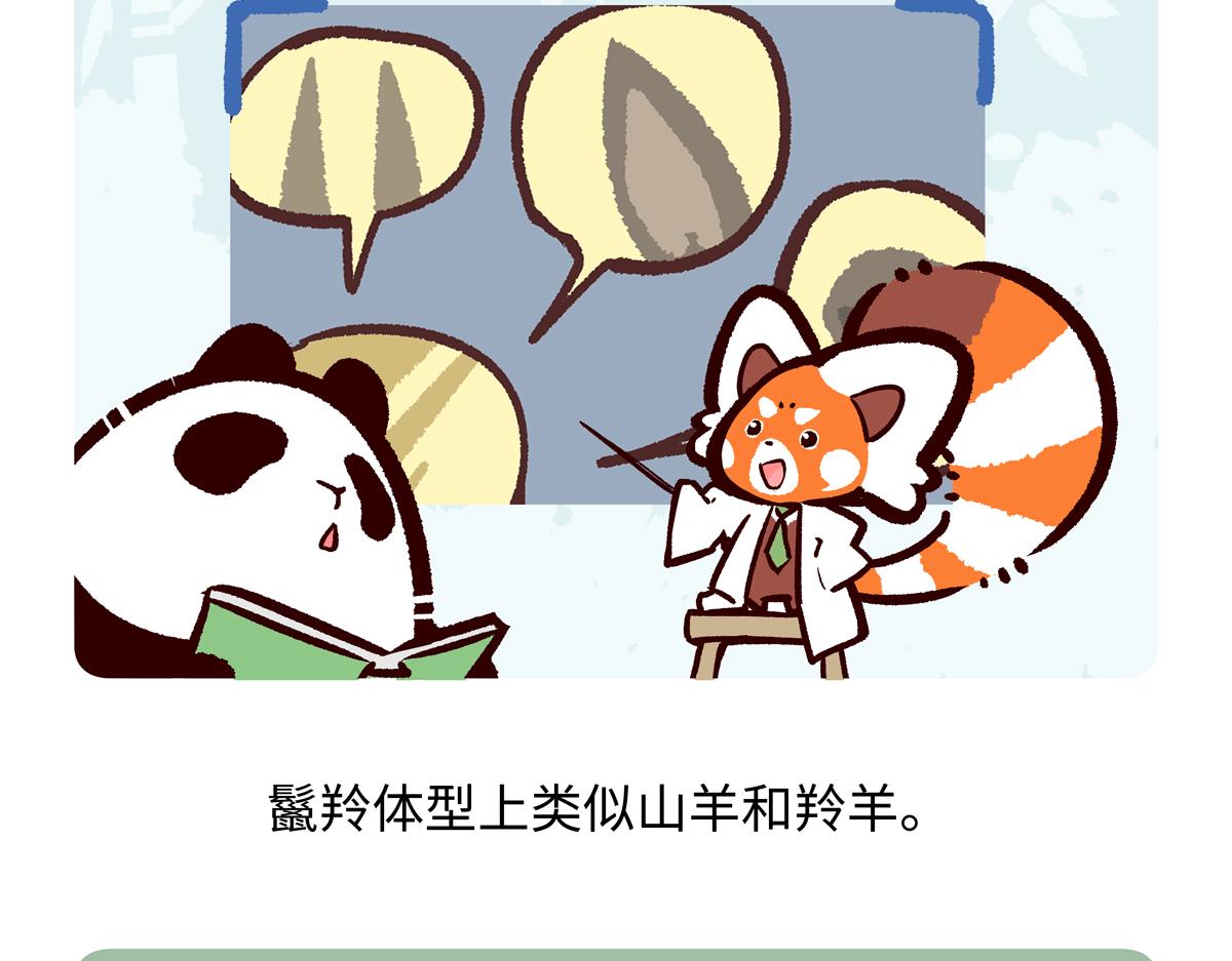 第291话-第292话