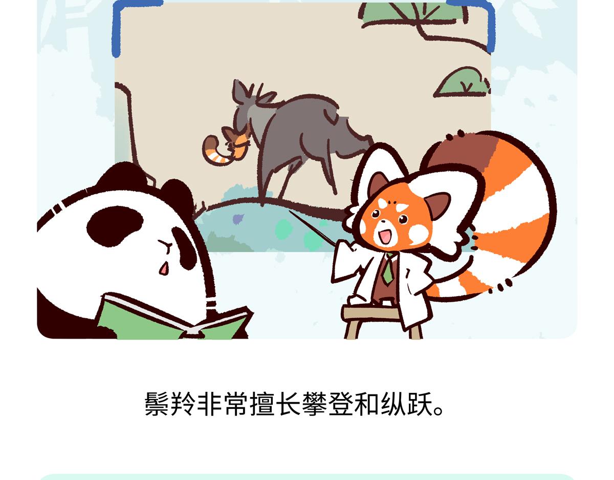 第293话-第294话