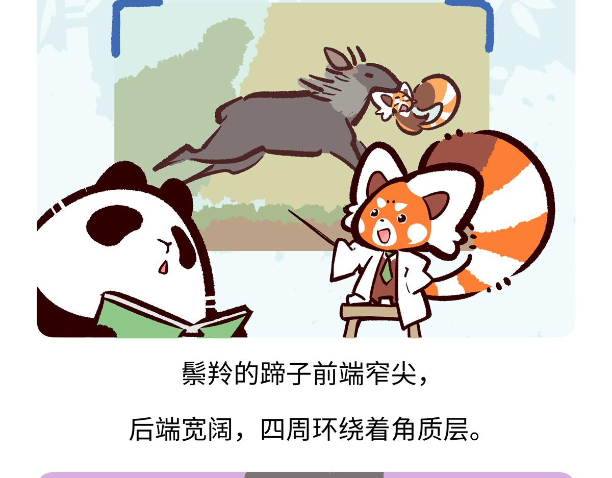 第293话-第294话