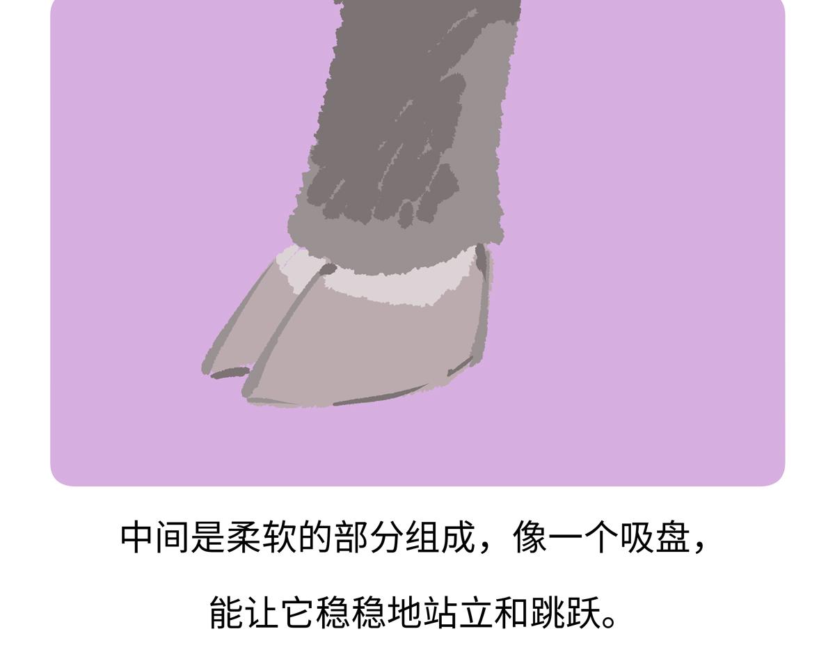 第293话-第294话