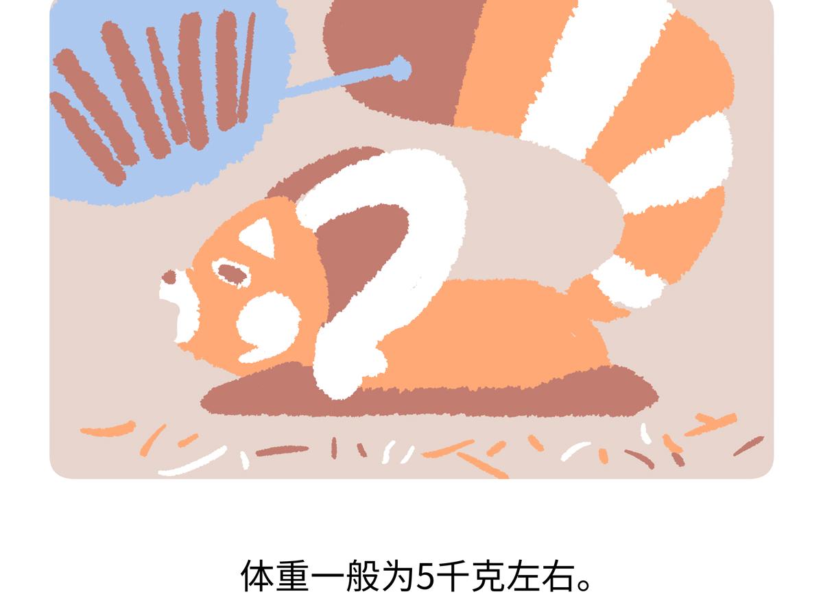 第295话-第296话