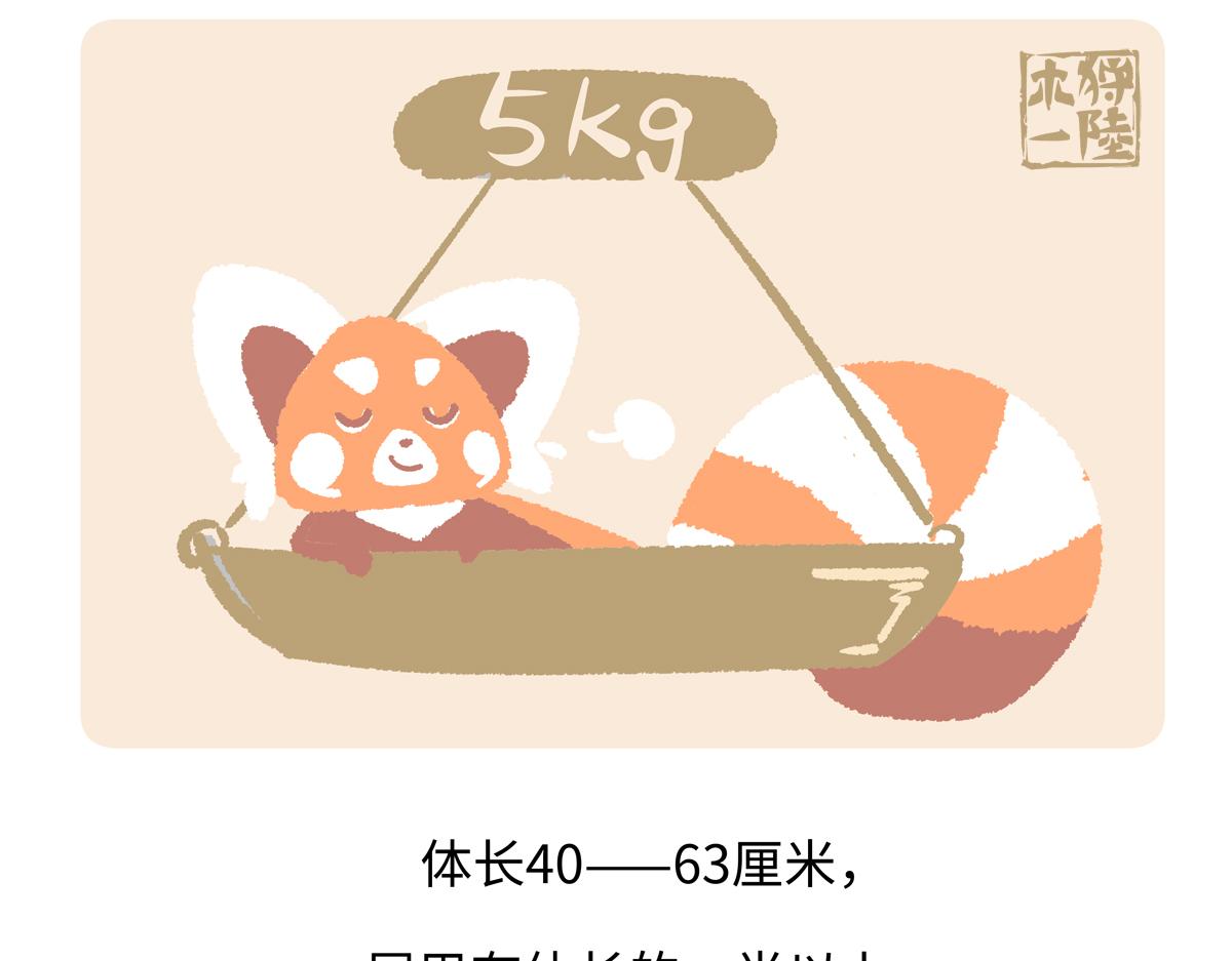 第295话-第296话