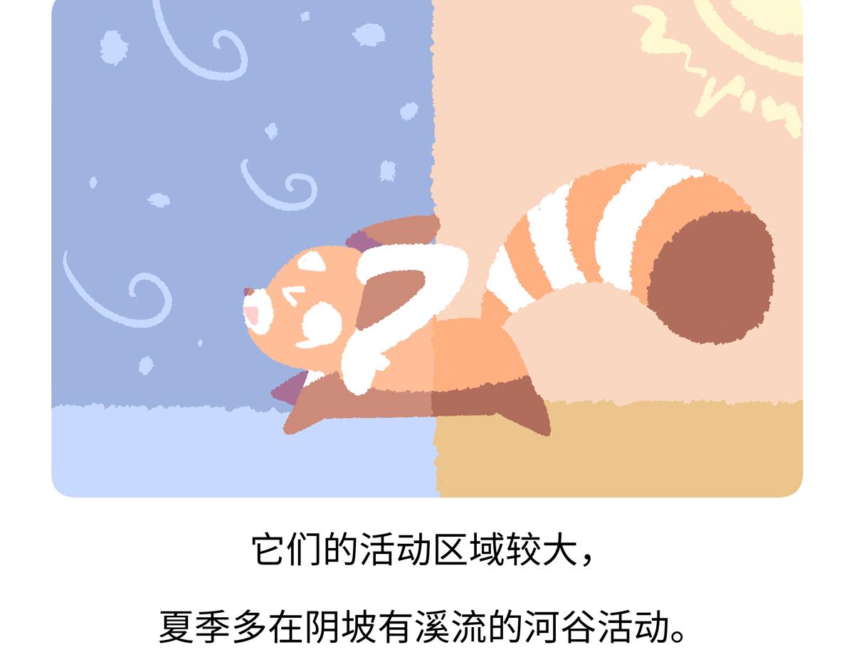 第295话-第296话