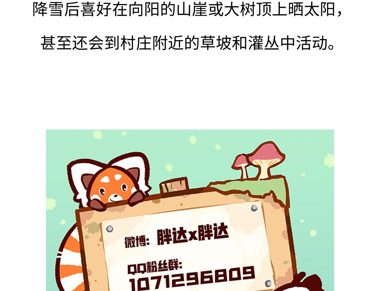 第295话-第296话