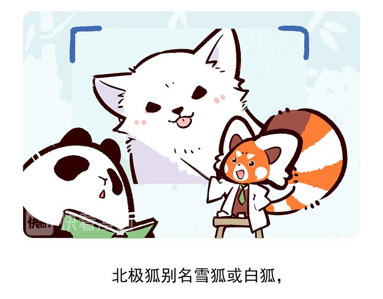 第31话-第32话