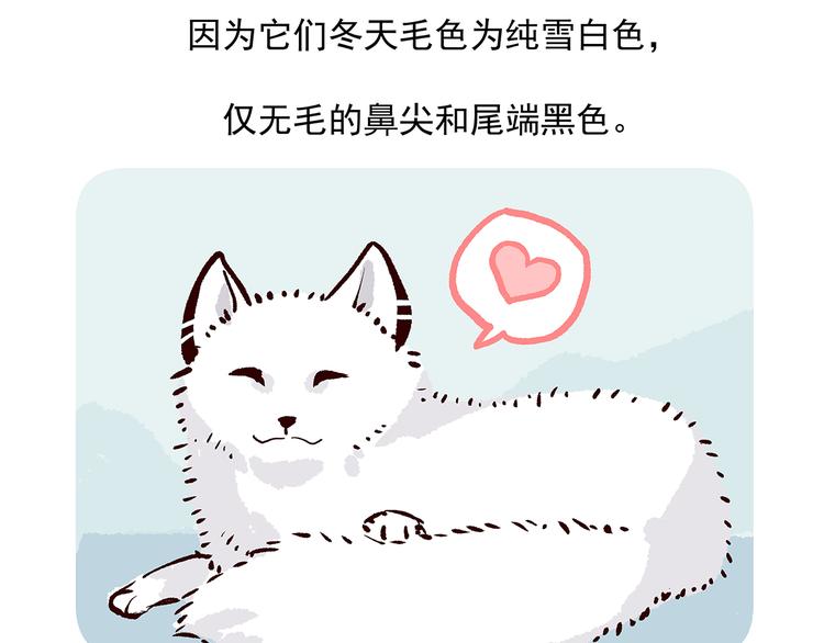 第31话-第32话