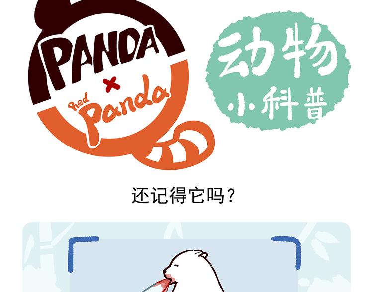 第33话-第34话