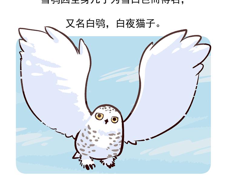第35话-第36话