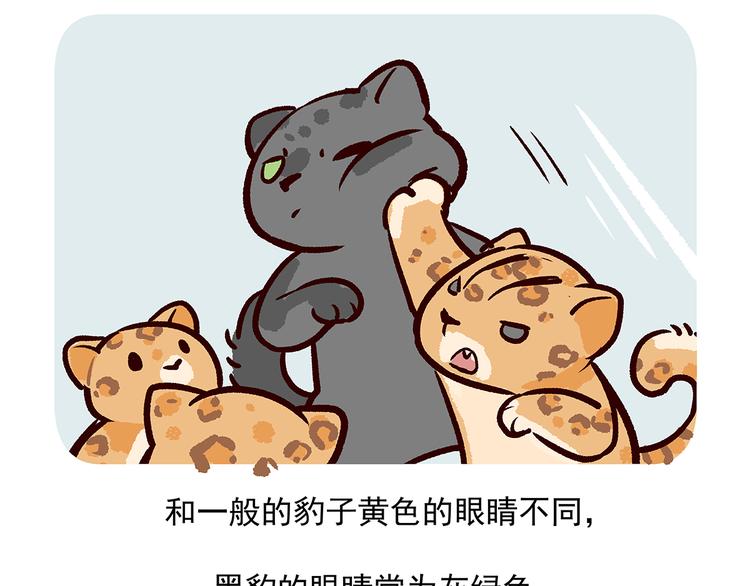 第35话-第36话