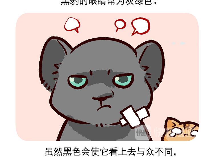 第35话-第36话