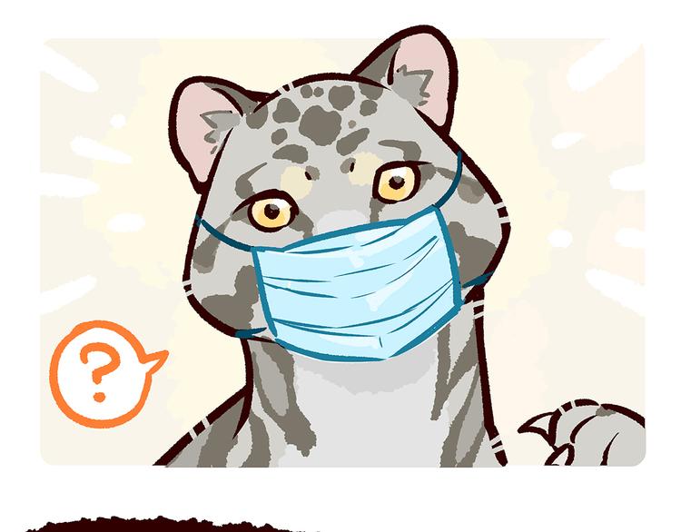 第51话-第52话