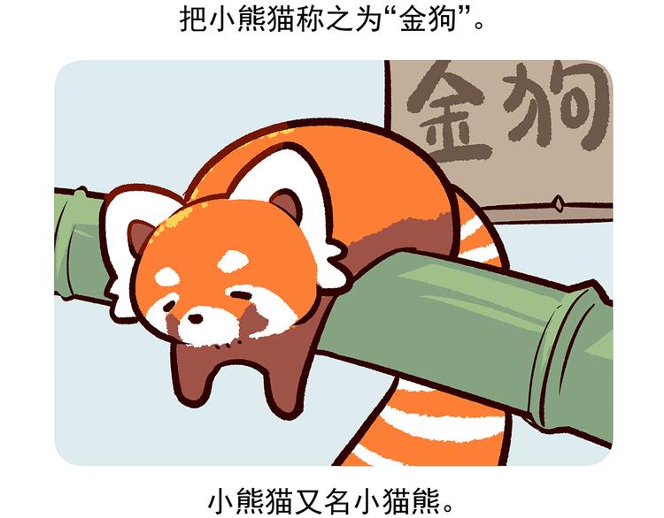 第51话-第52话