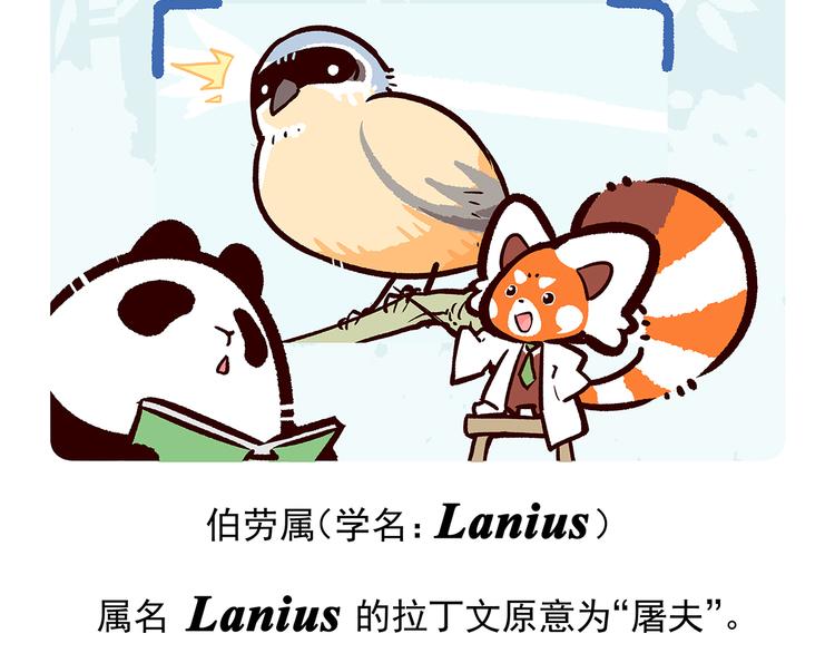 第53话-第54话