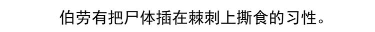 第53话-第54话