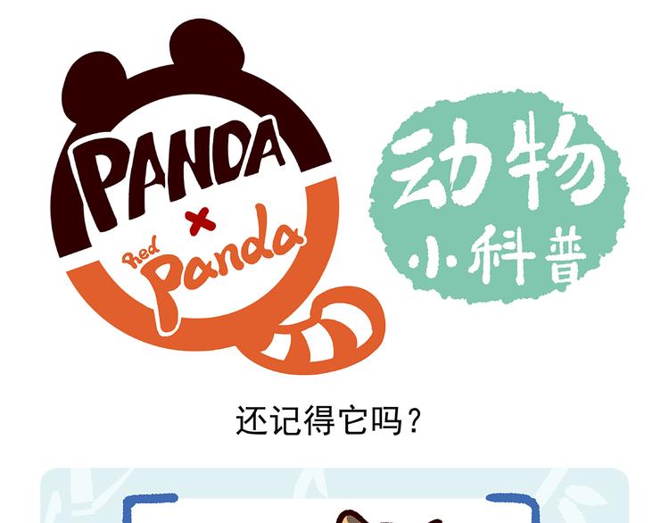 第9话-第10话