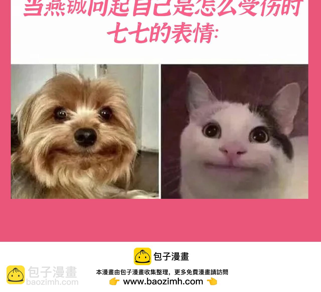 🍝炮灰闺女的生存方式 加更第105期 搞点事：玩梗炮灰是专业的 第6页