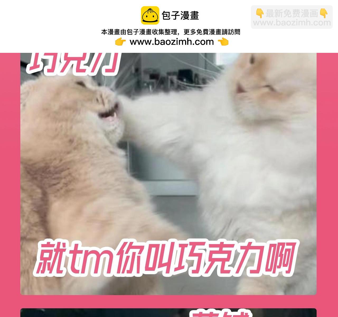 🍝炮灰闺女的生存方式 加更第112期 搞点事：老六大战巧克力 第5页