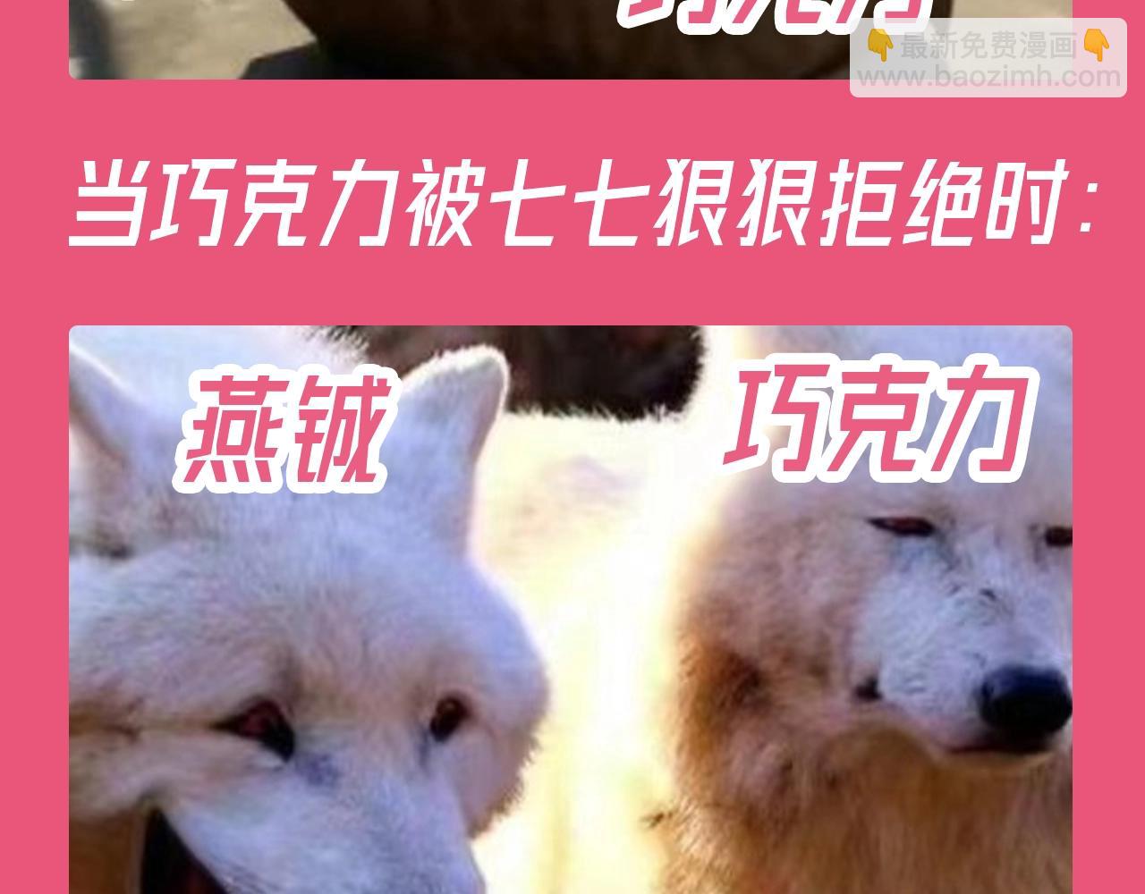 🍝炮灰闺女的生存方式 加更第112期 搞点事：老六大战巧克力 第7页