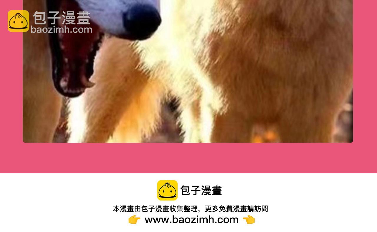 🍝炮灰闺女的生存方式 加更第112期 搞点事：老六大战巧克力 第8页
