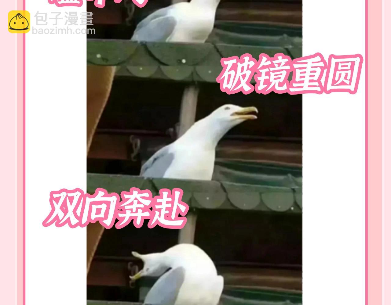 🍝炮灰闺女的生存方式 加更第129期 整活企划：寒炎（冰火cp）一些梗 第11页