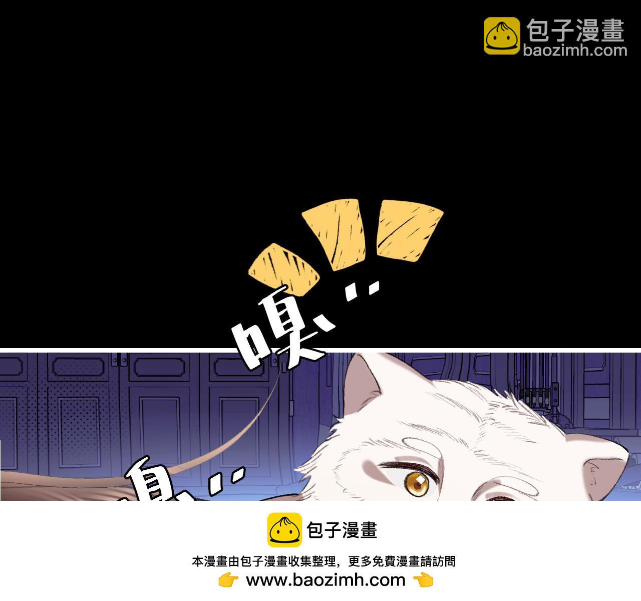 🍝炮灰闺女的生存方式 第329话 刺客 第50页
