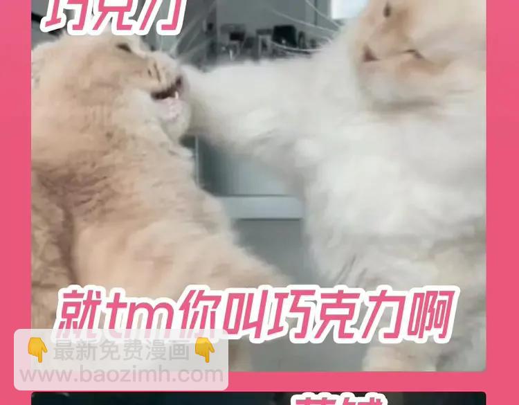 🍝炮灰闺女的生存方式（彩蛋日更中） 加更第112期 搞点事：老六大战巧克力 第5页