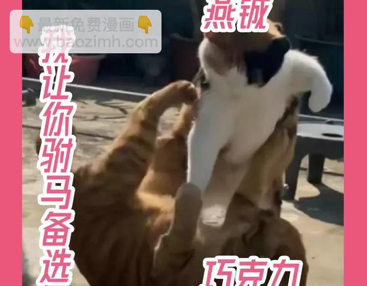 🍝炮灰闺女的生存方式（彩蛋日更中） 加更第112期 搞点事：老六大战巧克力 第6页