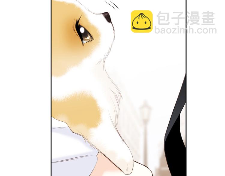 番外 小小心思(1/2)-第200话