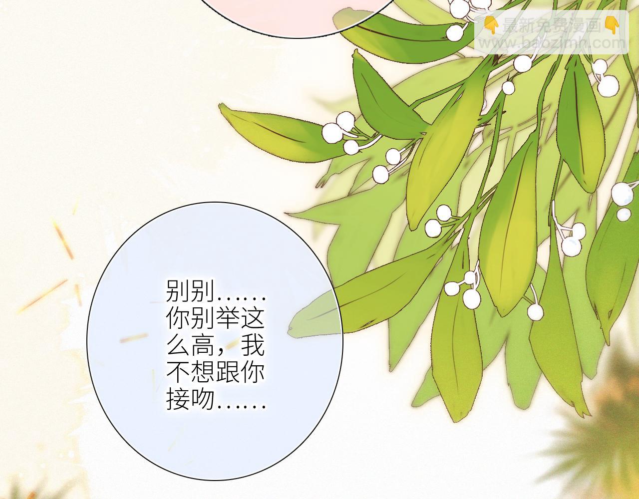 圣诞番外  白泉x卓一阳(1/2)-第244话