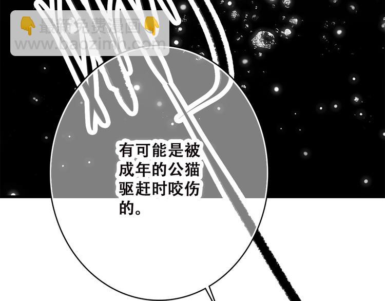 第33话 让我靠着你(1/2)-第42话
