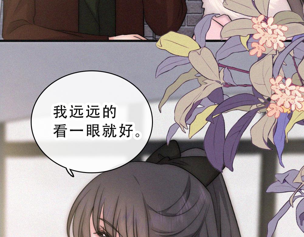 第173话 隔窗的心疼(1/2)-第250话