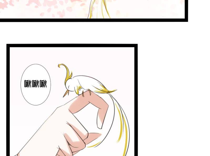 🍝片玉（冲天玄英录） 第二话 寻找被抛弃的炮灰女二？ 第5页