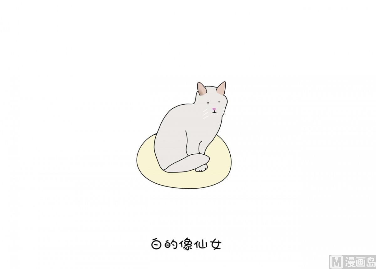 咏喵-第86话