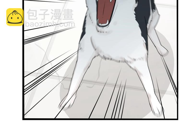 第177话  走失真相2(1/3)-第188话