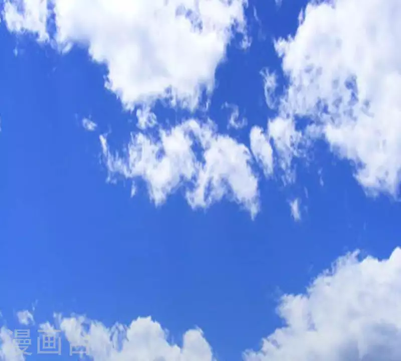 🍝贫王 第311话 兵分两路 第16页