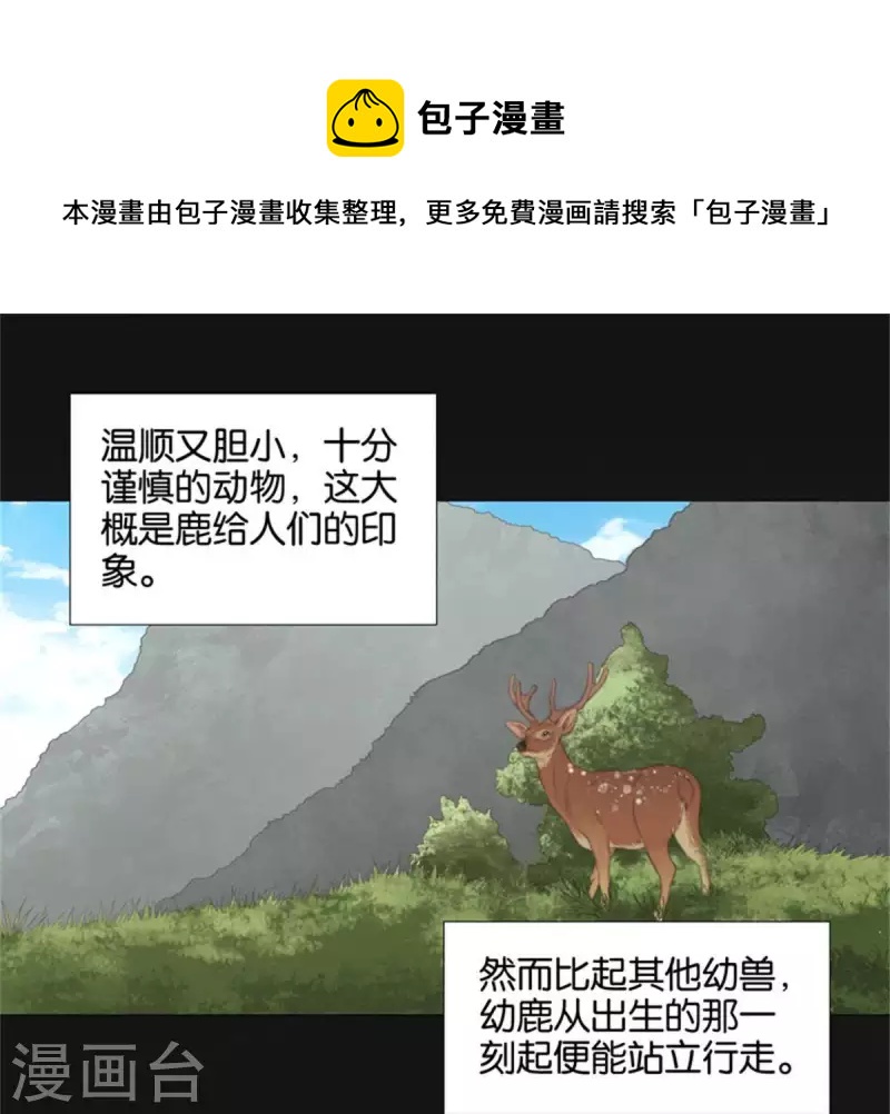 🍝贫王 第81话 动物世界充满智慧 第1页