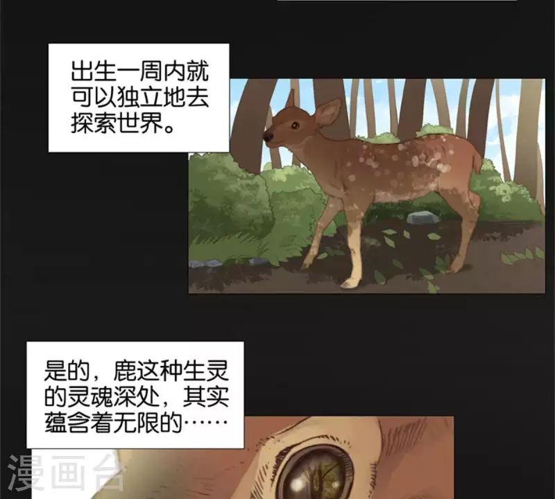 🍝贫王 第81话 动物世界充满智慧 第2页