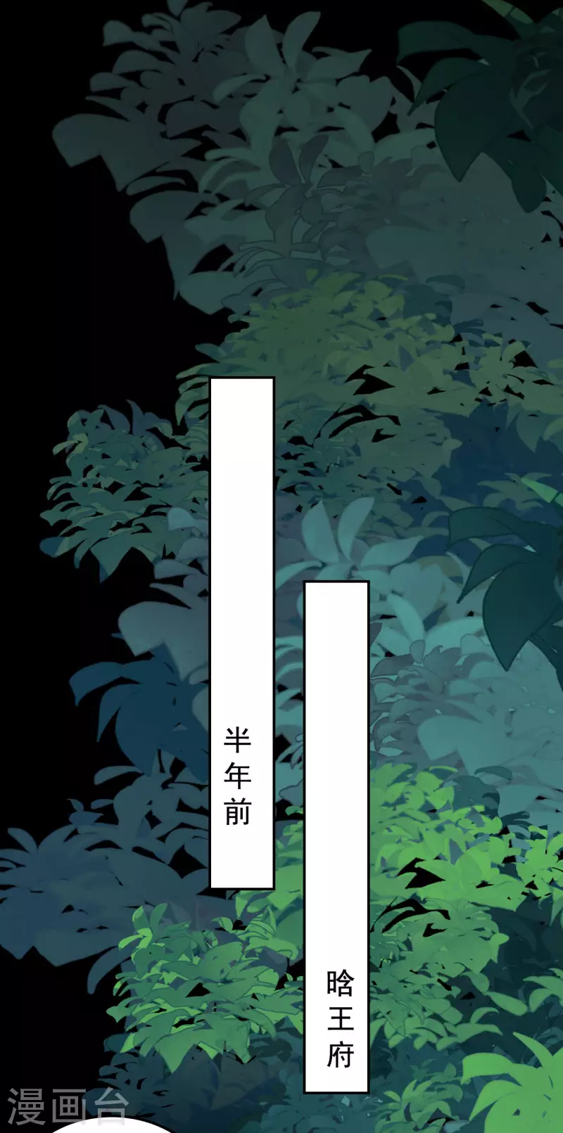 🍝坏心王爷别惹我 第246话 莲妃往事 第13页