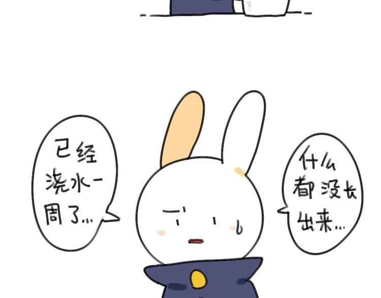🍝破耳兔 第30话：一只不按套路出牌的兔 第3页