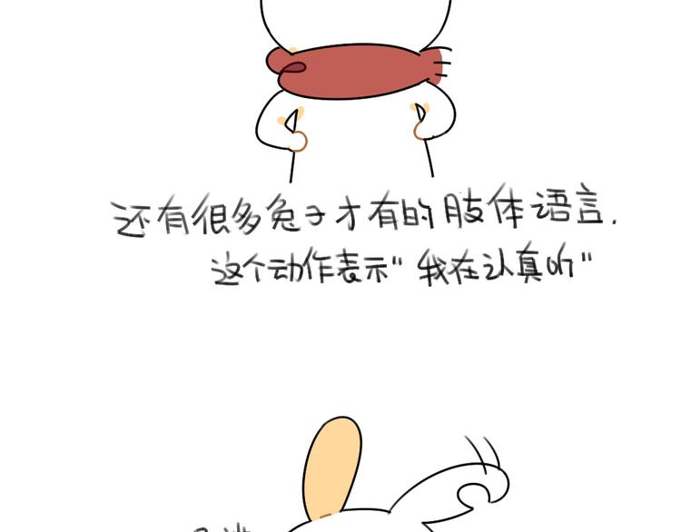 🍝破耳兔 第48话：小兔子们的生活 第4页