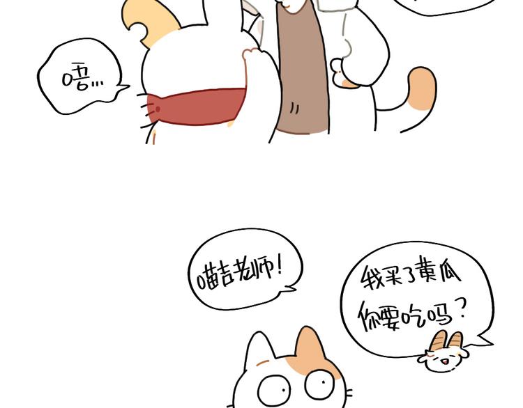 🍝破耳兔 第84话：猫是一种液体 第9页